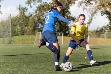 Bild 250 - F Ellerau - SV Eidelstedt 2 : Ergebnis: 2:2
